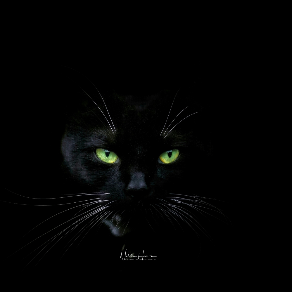 Looking for a black cat in a dark room