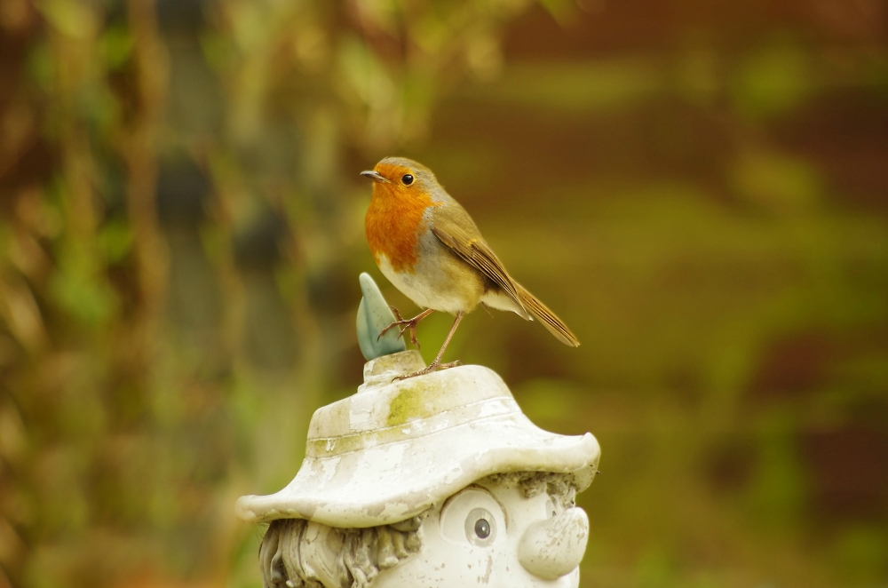 Visitor