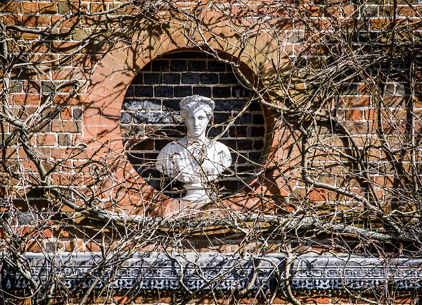 Behind the wisteria