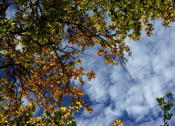 Changing Colours
