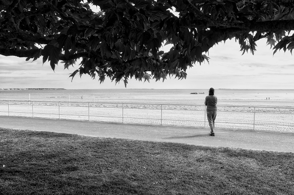 Estuary