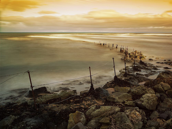 Fence to nowhere