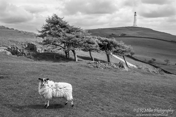 Hoad Monument B&W