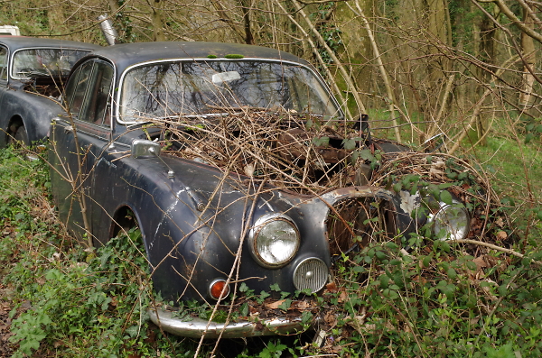 In need of just a little TLC