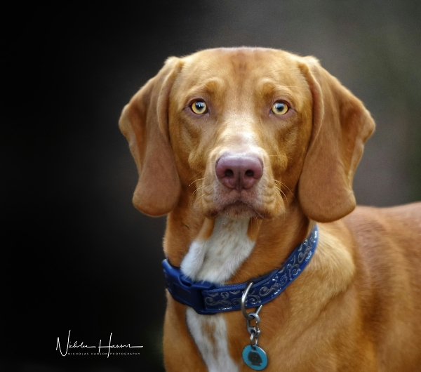 Portrait shot