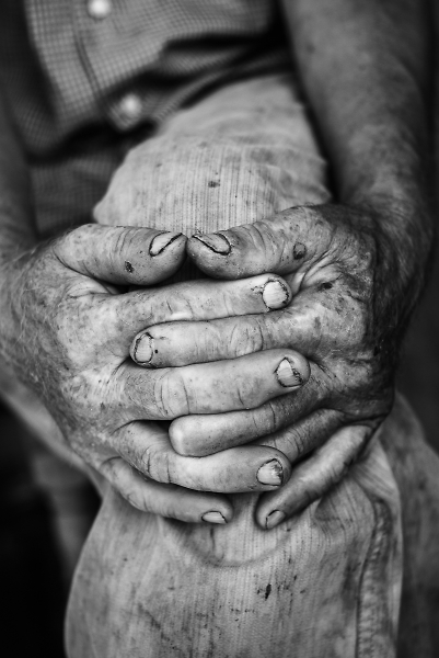 Working Hands
