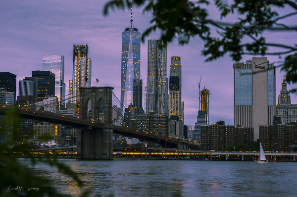 A Glipse of the City