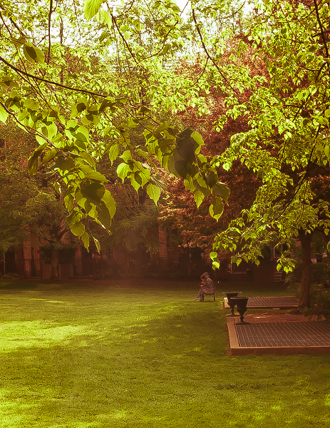 Lone Figure on Bench