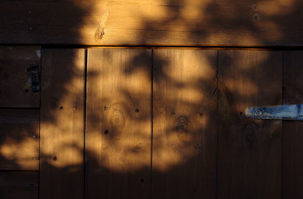 Shed door.