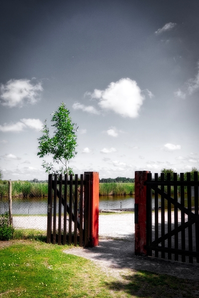 Wetland gate