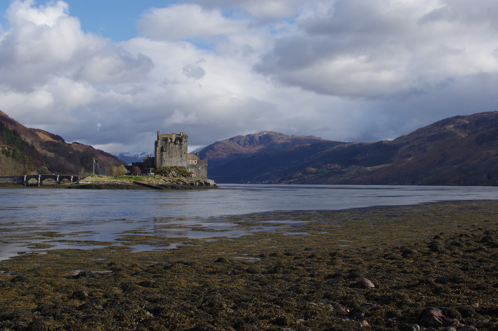 Castle