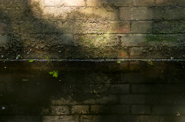 Canal and Wall