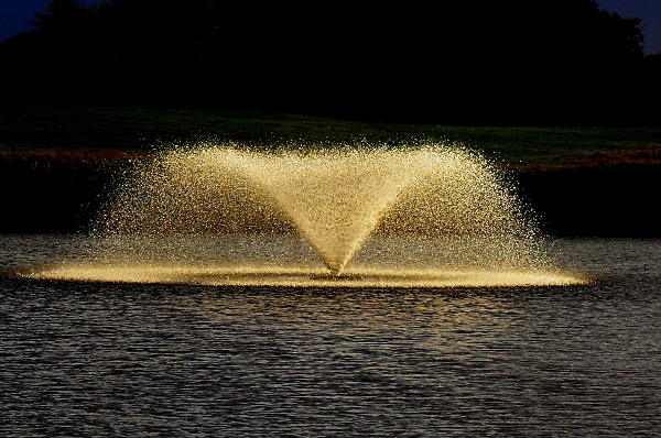 fountain