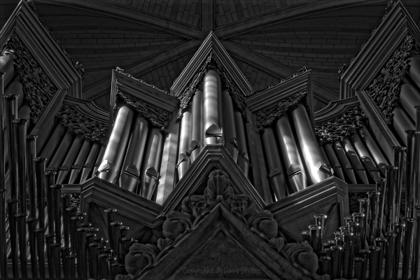 Monochrome Organ Pites