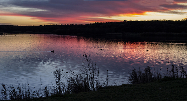 Queen Elizabeth II Park - Ashington