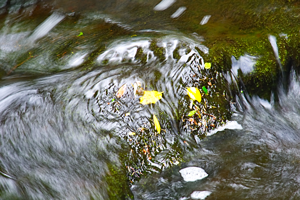 water swirling round a rock