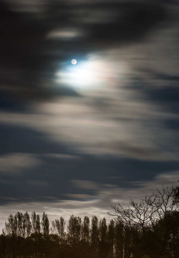 Dance in the moonlight