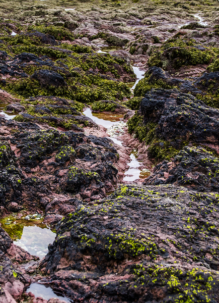 After the tide went out