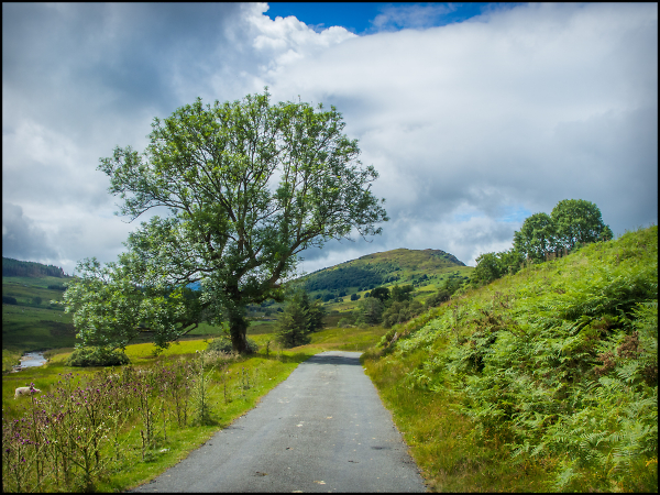 Back Road to Bala