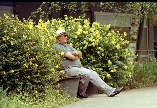 Floral Relaxation