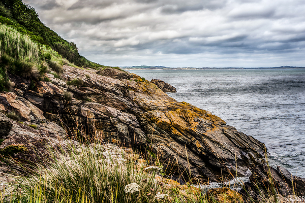 Greywacke edited