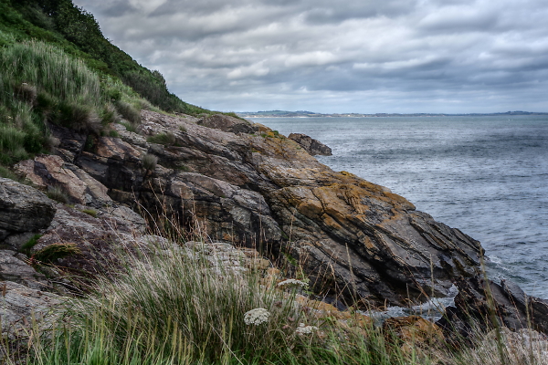 Greywacke