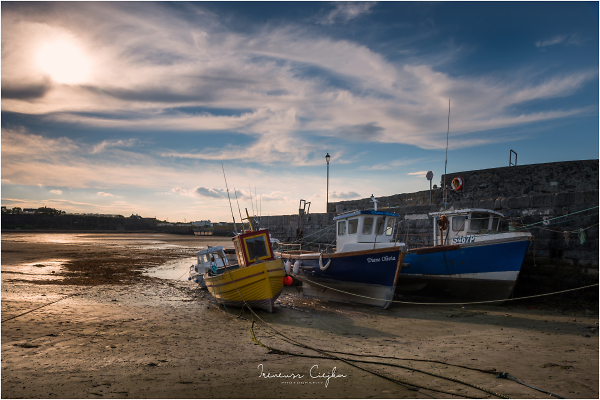Rush Harbour