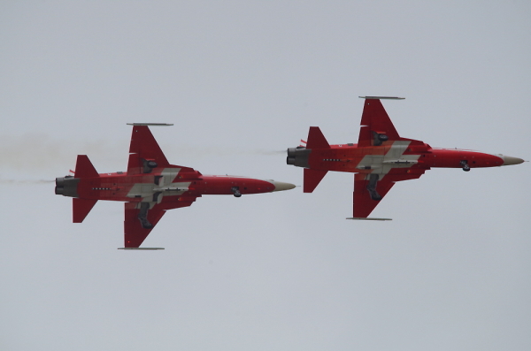 Swiss Air Force F-5E Tiger IIs