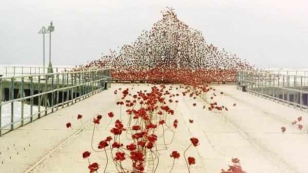 The 'Poppy Wave'