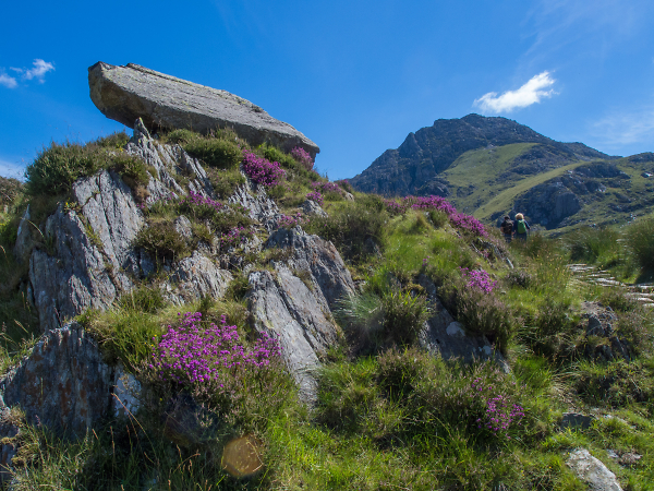 Tryfan