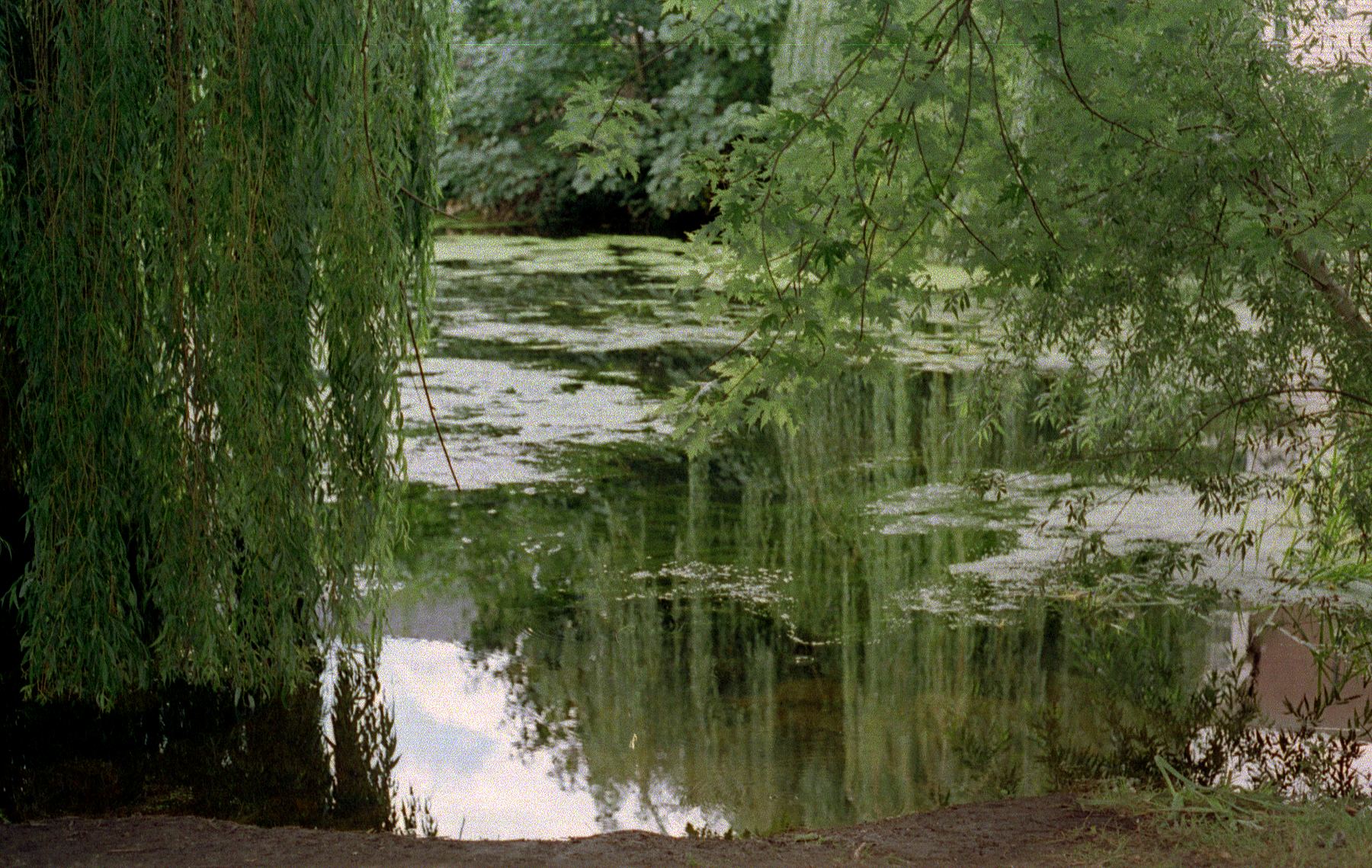 River Colne, Colchester ( England)