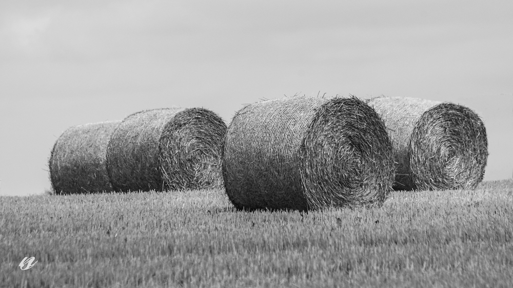 bales