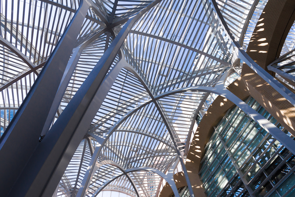 Galleria Ceiling