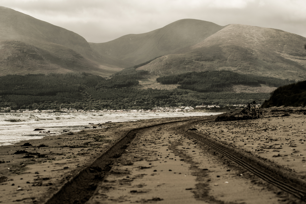 tracks