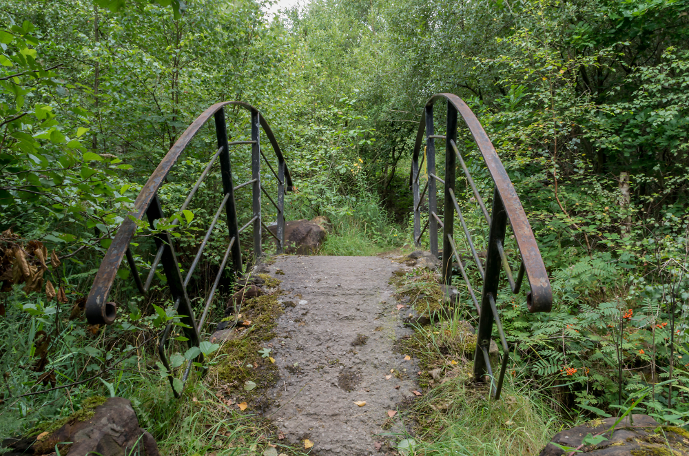Woodland bridge at Colliers Moss, St Helens