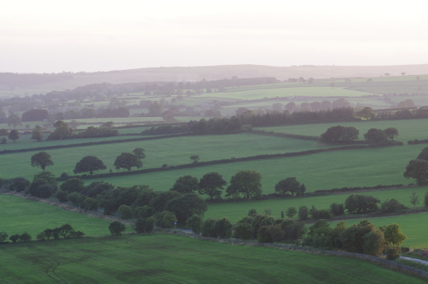 Fields