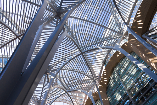 Galleria Ceiling