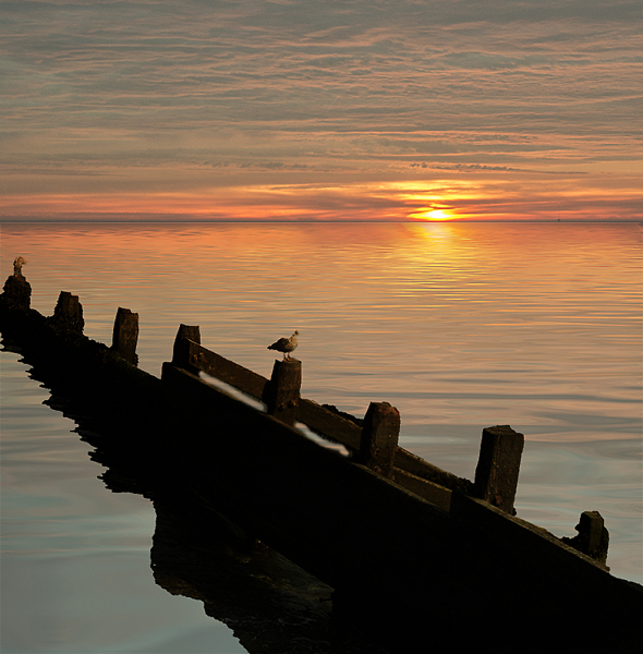 Groyne