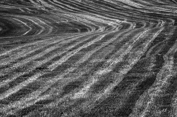 just mown