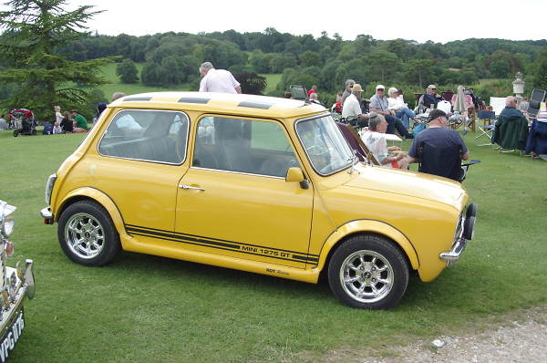 mini