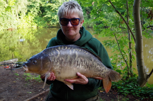 Mirror Carp