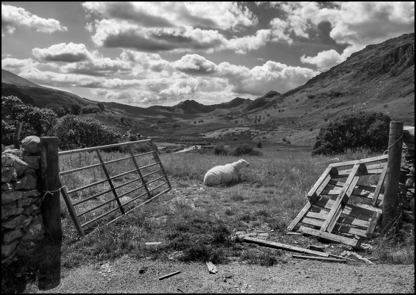 The Snowdon Horseshoe from Capel Curig