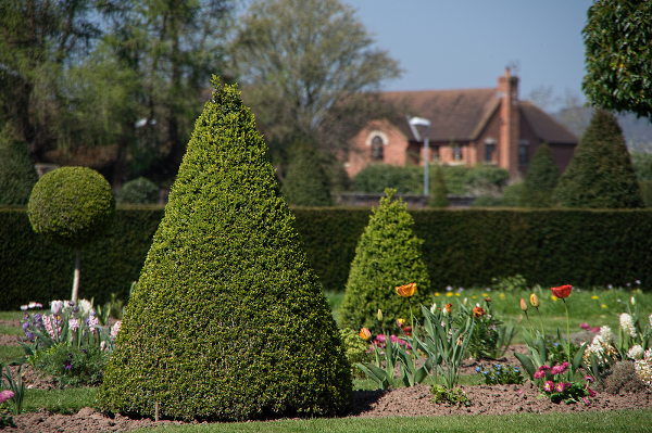 Topiary