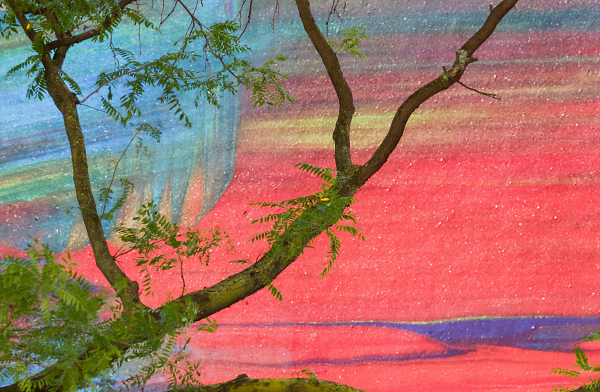Tree Against Painted Background