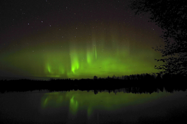 Aurora flames