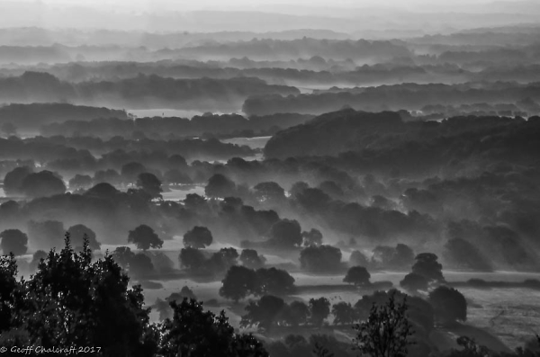 Misty Dawn