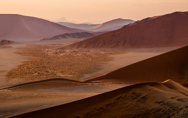 Namib Desert Dawn