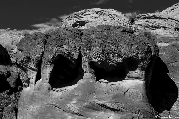 Rock Elephant