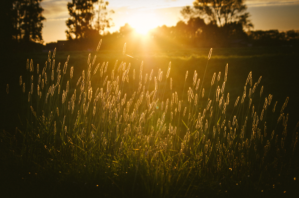 Spring Hints Sunset