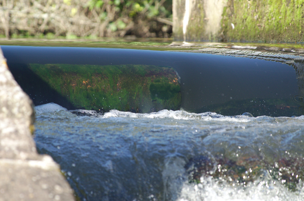Through the water